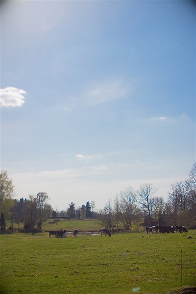 garden03